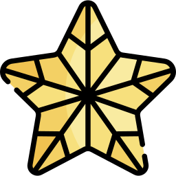 Star icon