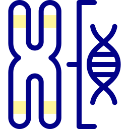 Chromosome icon