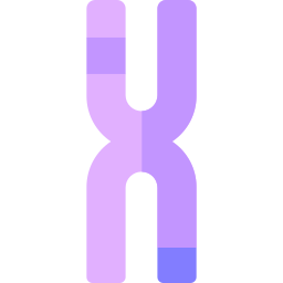 Chromosome icon