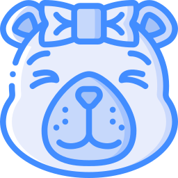 orso icona