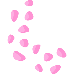 Flower petals icon