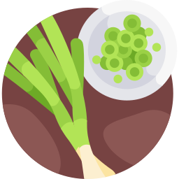 Scallion icon