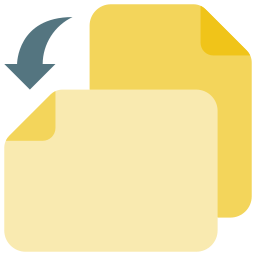 Orientation icon