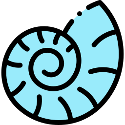 Shell icon