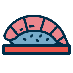 sushi icon