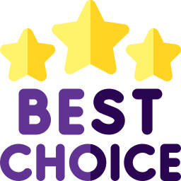 Best choice icon