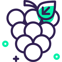 Grapes icon