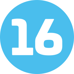 16 icon