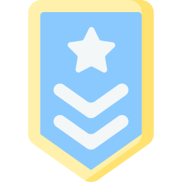 Chevron icon