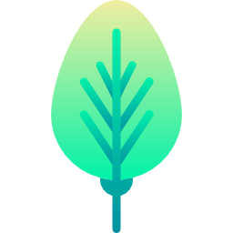 Leaf icon