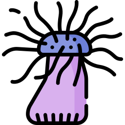 seeanemone icon