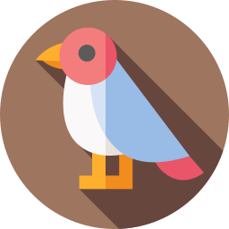 vogel icon