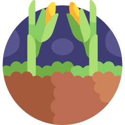 Corn icon