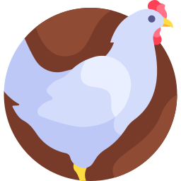 poule Icône