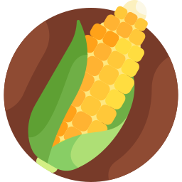 Corn icon