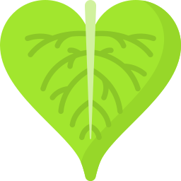 Bodhi leaf icon