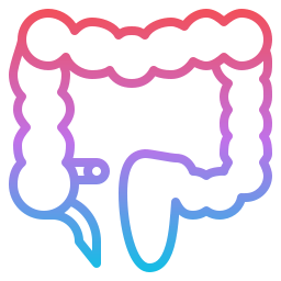 Colon icon