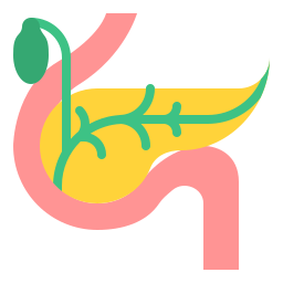 Pancreas icon