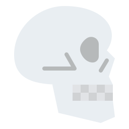 Skull icon