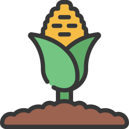 Corn icon