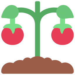 tomate icon