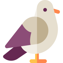 Pigeon icon