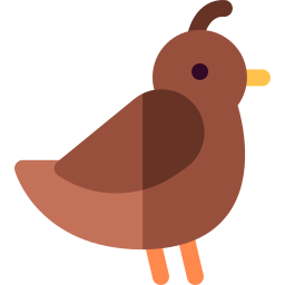 Quail icon