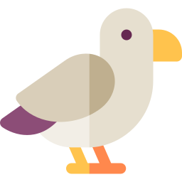 Seagull icon