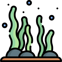 Морские водоросли иконка