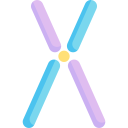 Chromosome icon