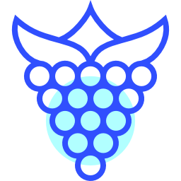 himbeeren icon