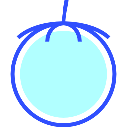 Tomato icon