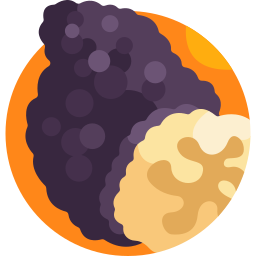 Truffle icon