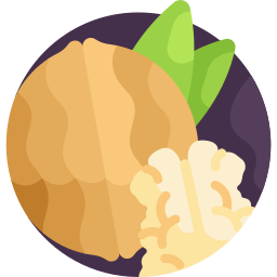 Walnut icon