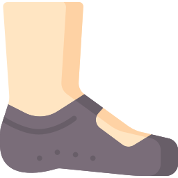 Socks icon