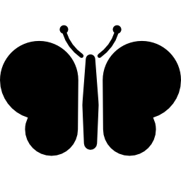 Butterfly icon