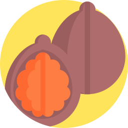 Walnut icon