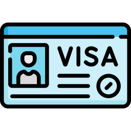 Visa icon