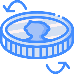 Coin icon