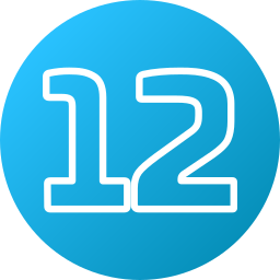 12 icon