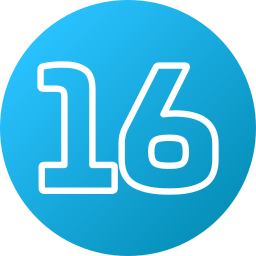 16 icon