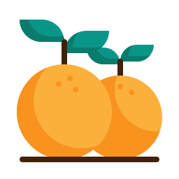 Orange icon