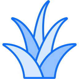 yucca icon