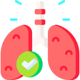 Lung icon