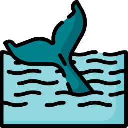 Whale icon