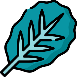 Leaf icon