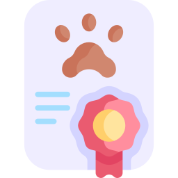 zertifikat icon