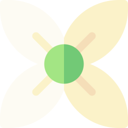 Bouvardia icon