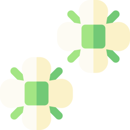 Garlic mustard icon