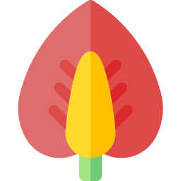 Anthurium icon